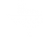 texas-icon-white